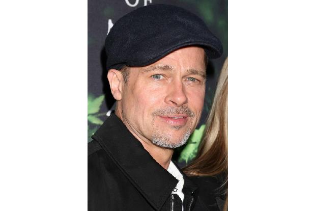 ...mag auch Brad Pitt, der 2013 mit seiner damaligen Partnerin Angelina Jolie 'Miraval Provence' auf den Markt brachte, eine...