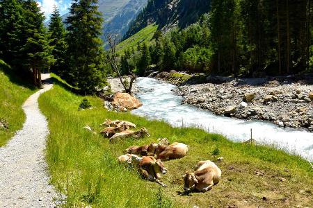 Der Ultratrail führt direkt am Wilde Wasser Weg vorbei
