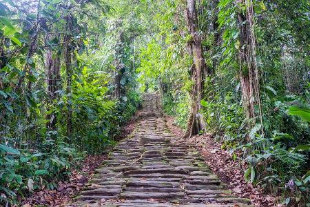 Die Treppe ins Nirgendwo im kolumbianischen Dschungel
