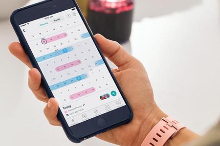Die berechnete Periode wird in Rosa und fruchtbare Phasen in Blau auf dem Handy angezeigt
