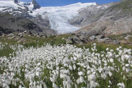 Der Gletscher am Großvenediger