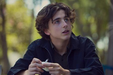 Newcomer Timothée Chalamet glänzt in einer Nebenrolle in 