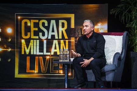 Cesar Millan während eines Auftritts
