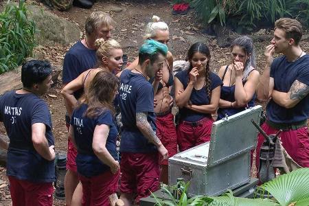 Ansgar und Co. hatten in dieser Folge nicht mit allen Fifty-Fifty-Entscheidungen Glück