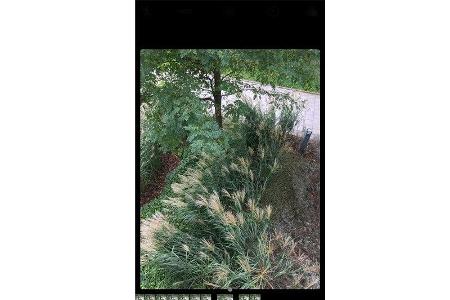 Die schönsten Fotos schneller finden