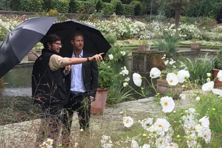 Prinz Harry inmitten des weißen Blumenmeers - 12.000 Blüten sind es insgesamt