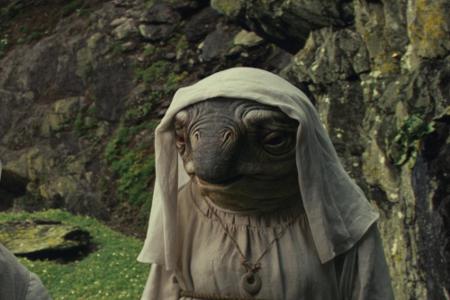 Ganz einsam musste Luke die Jahrzehnte auf Ahch-To übrigens nicht fristen. Einige dieser Mischungen aus Amphibien und Nonnen...
