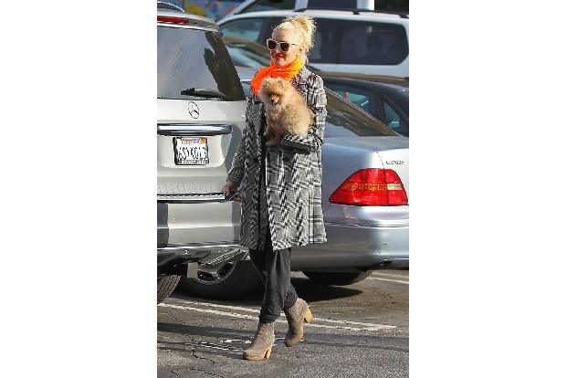 ...einigen Jahren machte es sich die Zwergspitzdame noch auf dem Arm von Ex-Frauchen Gwen gemütlich und bellte sich nicht nu...