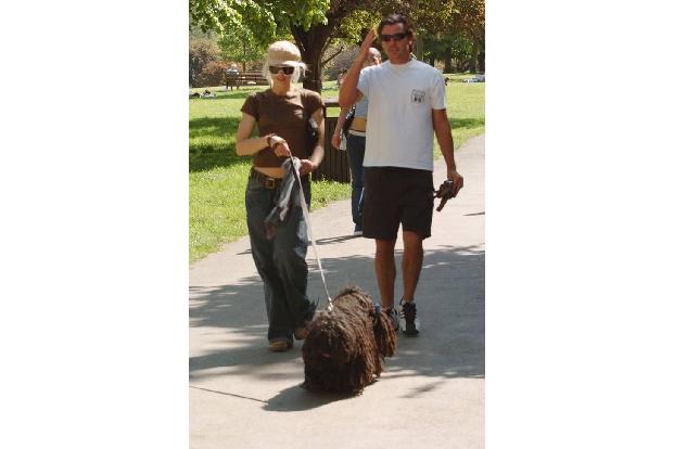 ...über seine tierischen Begleiter führt. Das war schon bei Gwen Stefani so, mit der Gavin vor 13 Jahren noch Komondor Winst...