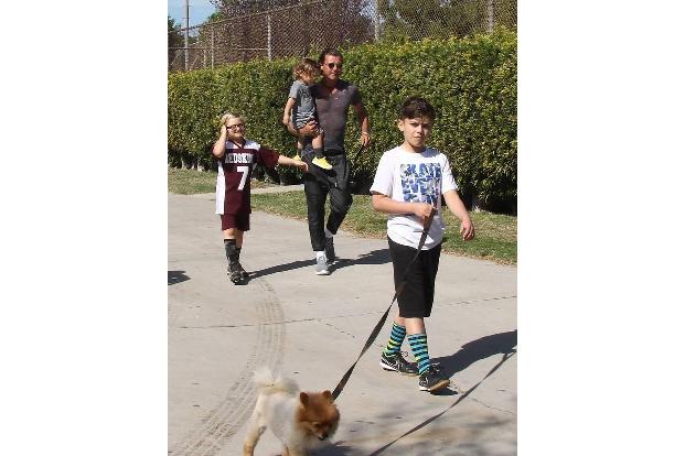 ...Apollo, Kingston und Zuma sollen Sophia erst mal nicht kennenlernen. 