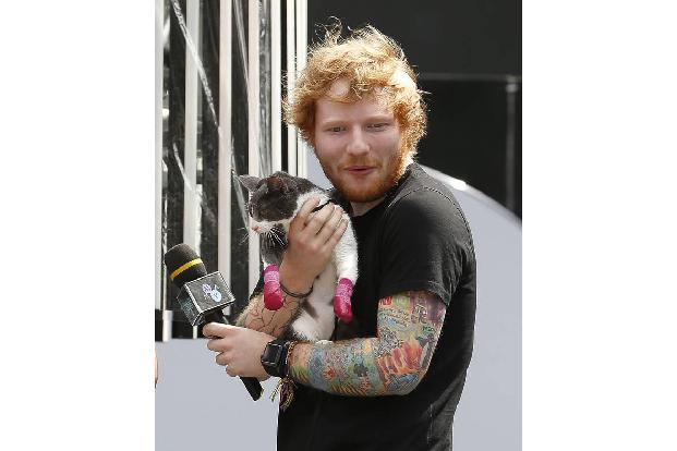 ...Kratzer hat Ed übrigens auch wegen seiner großen Liebe - Katzen! 