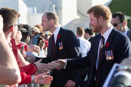 ...fanden William und Harry auch Zeit für ihre zahlreichen Anhänger, die sich allesamt über einen kurzen Händedruck der zwei...