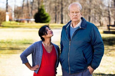 In der schwedischen Version spielte Rolf Lassgard Ove