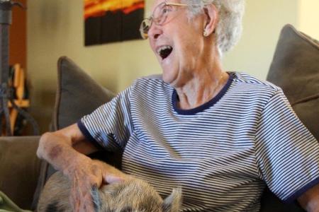 Mit Schweinchen Penelope in Arizona