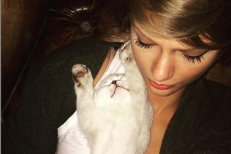 Was Taylor Swift (25) auf ihrer Tour vermisst? Nicht etwa das heimische Bett oder die Ruhe - nein, sie vermisst ihre Katze, ...