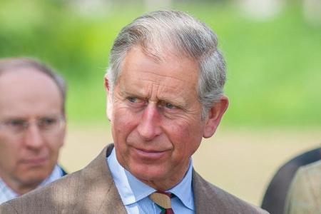 Prinz Charles fühlt sich angeblich von Harry und Meghan 