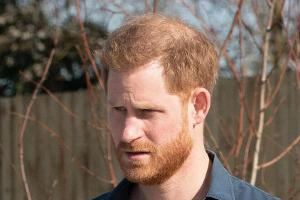 Prinz Harry ist mit seiner Familie in die USA ausgewandert.