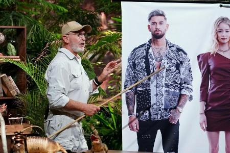 Dr. Bob begleitet die 