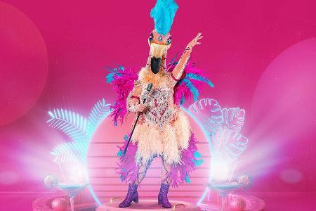 Der Flamingo tritt bei 