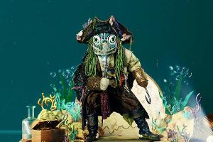 Die Schildkröte: Pirat und Reptil