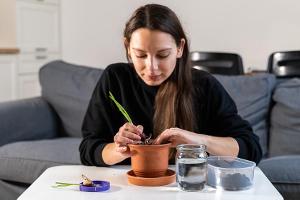 Auch im Wohnzimmer lassen sich Gemüse und Kräuter anbauen.