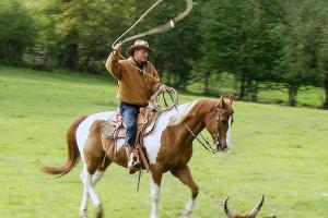 Bei "Bauer sucht Frau - Die neuen Bauern" wird auch Pferdewirt und Mutterkuhhalter Uwe vorgestellt.