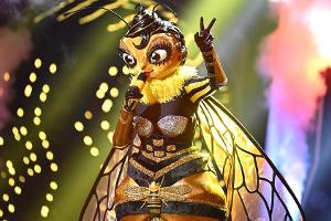 Die Biene musste als Erste wieder abschwirren