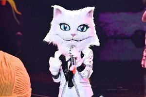 Bei "The Masked Singer" musste die Katze enthüllen, welcher Promi im Kostüm steckt