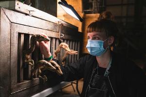 Die Dreharbeiten zu "Jurassic World: Dominion" sind abgeschlossen.