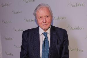 Sir David Attenborough hat Instagram wieder verlassen