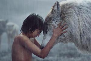 "The Jungle Book": Als Mogli (Neel Sethi) und seinem Wolfsrudel große Gefahr droht, entscheidet er sich dazu, den Dschungel ...