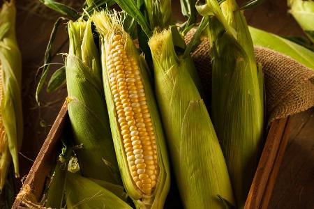 Zuckermais ist nicht nur lecker, sondern auch sehr gesund.