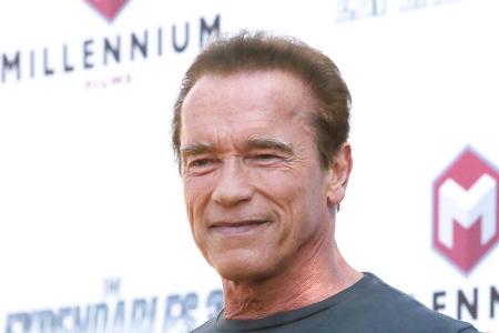 Arnold Schwarzenegger feiert mit seinem Esel Lulu Geburtstag.