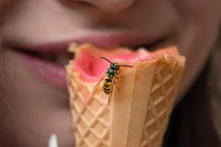 Süße Gerüche ziehen Wespen an.