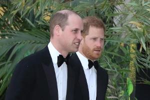 Prinz Harry (r.) und Prinz William mussten schon viel gemeinsam durchstehen