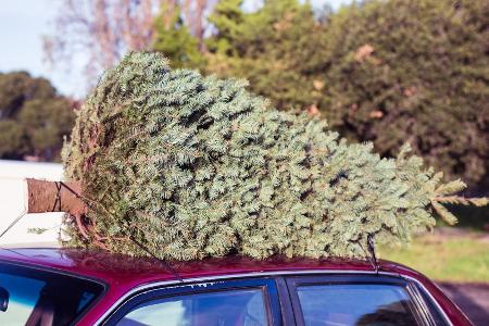 Der Weihnachtsbaum aus dem nahegelegenen Forst ist meist besser für die Umwelt.