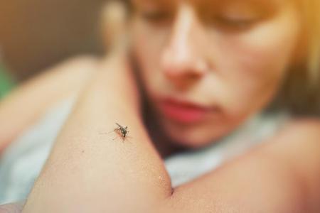 Vom Mücken geht laut WHO keine Corona-Gefahr aus