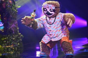 Einige Indizien sprechen dafür, dass sich unter dem Faultier-Kostüm Stefan Raab versteckt