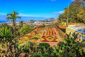 Der berühmte botanische Garten in Funchal auf dem portugiesischen Madeira ist besonders im Februar eine Reise wert