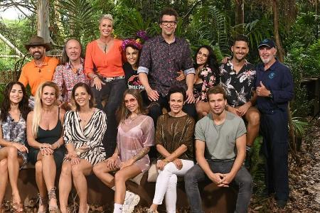 Klassenfoto im Dschungel: Die Kandidaten der 14. Ausgabe des Dschungelcamps
