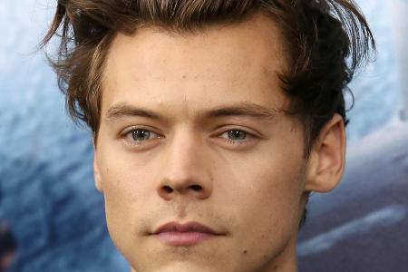 Sänger Harry Styles ist offenbar besorgt um seine Sicherheit
