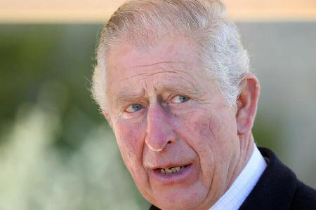Prinz Charles muss gerade viel Kritik einstecken