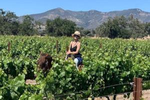 Sarah Michelle Gellar macht auch auf dem Pferd eine gute Figur