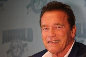 Arnold Schwarzenegger und sein Schwiegersohn Chris Pratt ließen die Muckis spielen