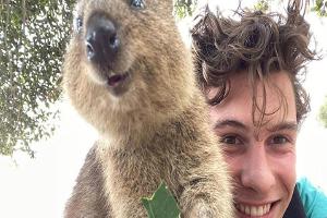 Shawn Mendes scheint einen neuen besten Freund zu haben