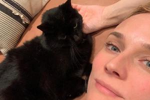 Filmstar Diane Kruger hat tierische Gesellschaft