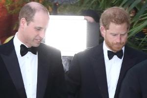 Prinz William und Prinz Harry bei einem gemeinsamen Auftritt in London