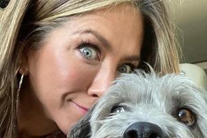 Jennifer Aniston präsentiert ihren Hund auf Instagram