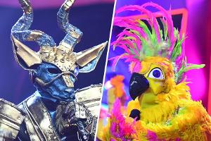Kudu und Kakadu kämpfen bei "The Masked Singer" darum, unerkannt zu bleiben