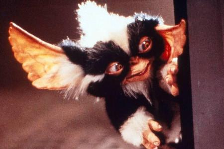 Sind wieder da: die Gremlins